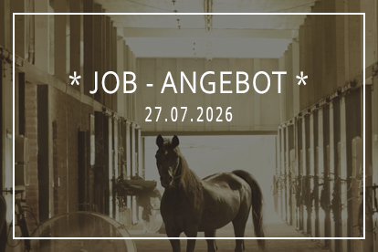 Du betrachtest gerade Job Angebot -Stallhilfe im RVG