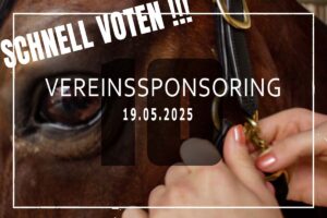 Meyer Technik Vereinssponsoring