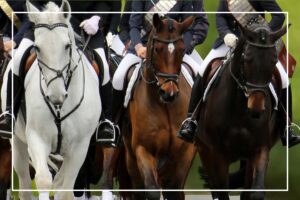 Generalversammlung 19.03.2026