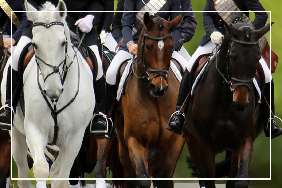 Du betrachtest gerade Generalversammlung 19.03.2026