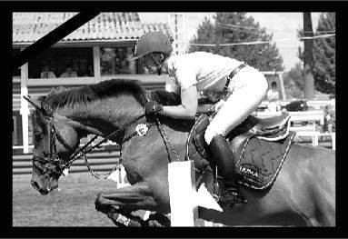 RV Ganderkesee - Springen 1950