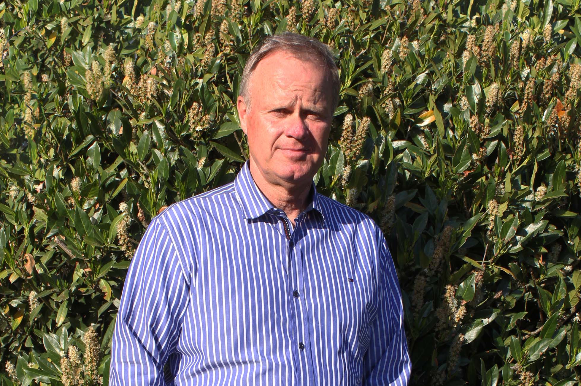 RV Ganderkesee - Torsten Tönjes - Springunterricht