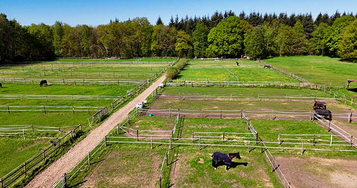 RV Ganderkesee - Weiden & Paddocks