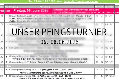 Mehr über den Artikel erfahren Zeiteinteilung Pfingstturnier